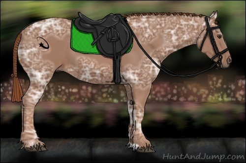 Horse Color:Chestnut Ice 