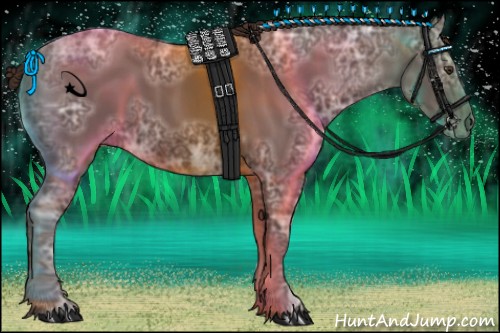 Horse Color:Liver Chestnut Ice