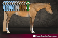 Horse Color:Chocolate Palomino Dun