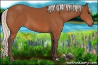 Horse Color:Silver Bay 