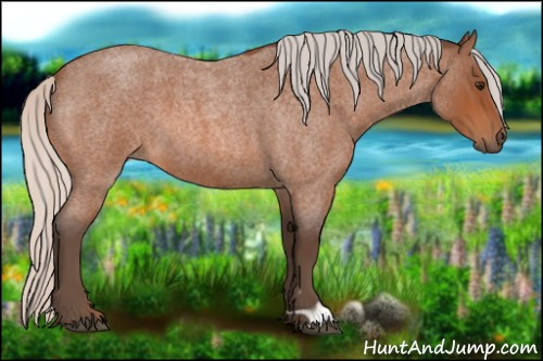 Horse Color:Silver Bay Roan 