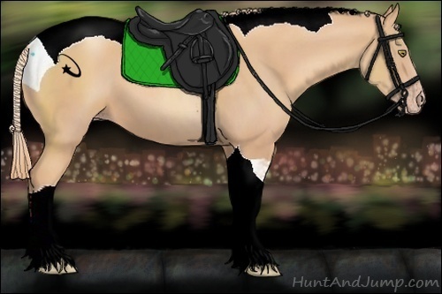 Horse Color:Gold Champagne Tobiano 