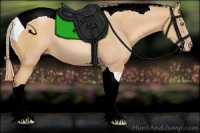 Horse Color:Gold Champagne Tobiano 