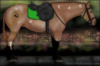 Horse Color:White Spotted Chestnut Tobiano 