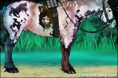 Horse Color:White Spotted Bay 