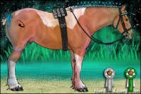 Horse Color:Silver Bay Tobiano