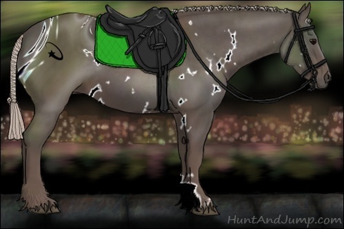 Horse Color:ERROR: UNKNOWN ANOMALY