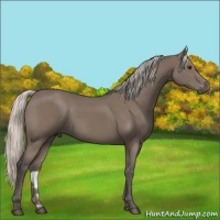 Horse Color:Silver Black 