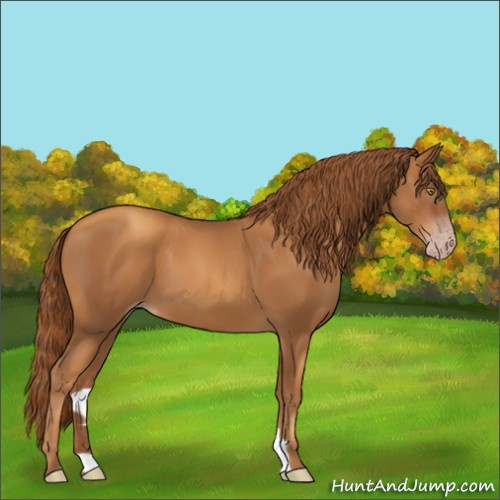 Horse Color:Gray Gold Champagne 