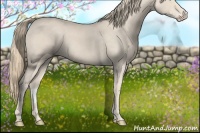 Horse Color:Smoky Creme Roan 