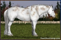 Horse Color:Buckskin Dun Sabino