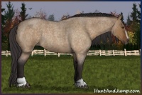 Horse Color:Buckskin Roan Dun Sabino Rabicano