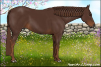 Horse Color:Gray Chestnut 
