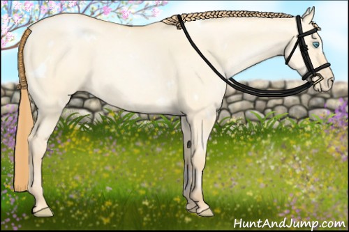 Horse Color:White Spotted Buckskin Pearl Dun 