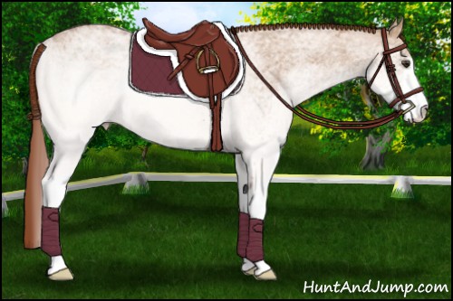 Horse Color:White Spotted Red Dun Ice