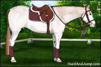 Horse Color:White Spotted Red Dun Ice
