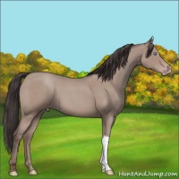 Horse Color:Classic Champagne Roan Mushroom 