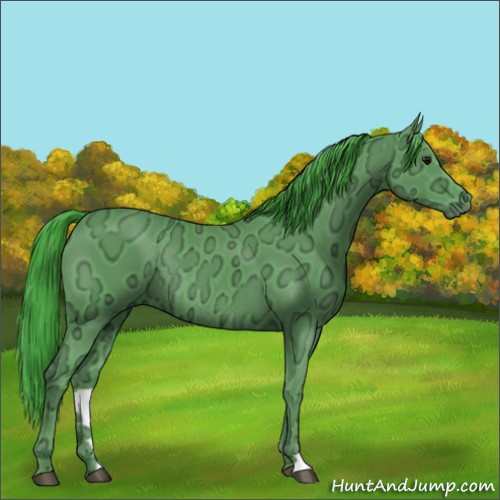 Horse Color:Watercolor Smoky Black Ice Rabicano 