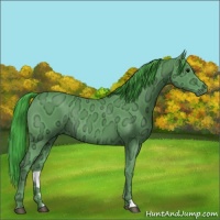 Horse Color:Watercolor Smoky Black Ice Rabicano 