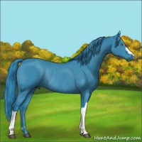 Horse Color:Watercolor Black Chinchilla Rabicano