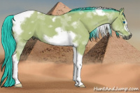 Horse Color:Gray Watercolor Brown Tobiano Frame 