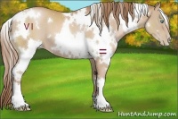 Horse Color:White Spotted Chocolate Black Pearl