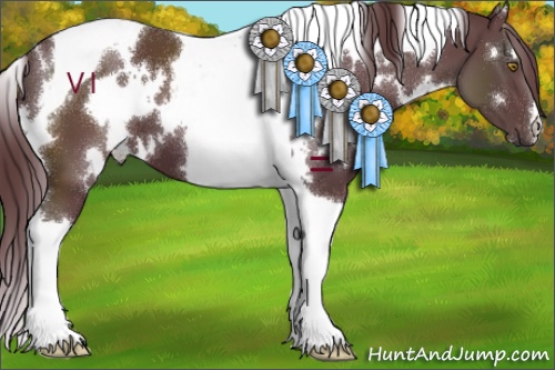 Horse Color:White Spotted Chocolate Black Tobiano