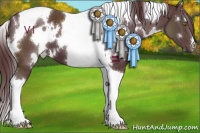 Horse Color:White Spotted Chocolate Black Tobiano 