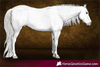Horse Color:Silver Black Sabino 