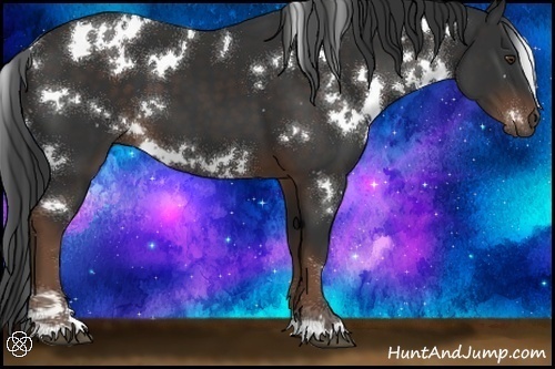 Horse Color:White Spotted Liver Chestnut 