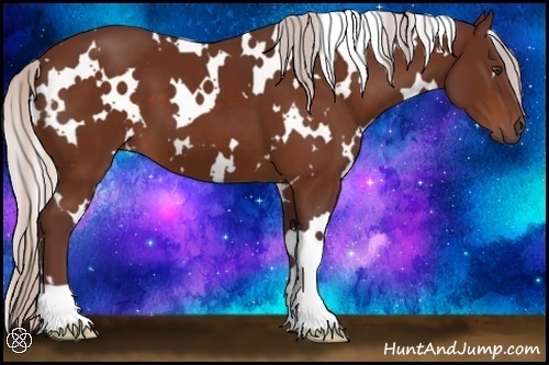 Horse Color:White Spotted Chocolate Silver Brown 