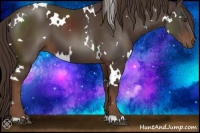 Horse Color:White Spotted Liver Chestnut 