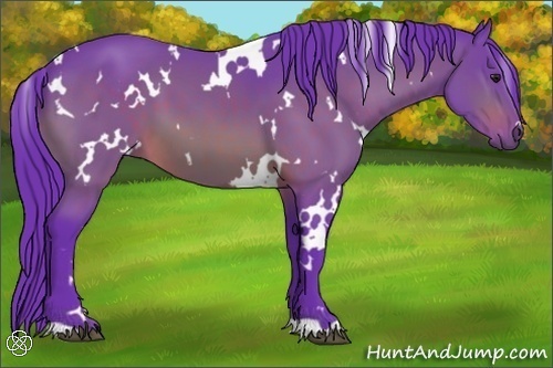 Horse Color:Watercolor White Spotted Brown 