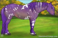Horse Color:Watercolor White Spotted Brown