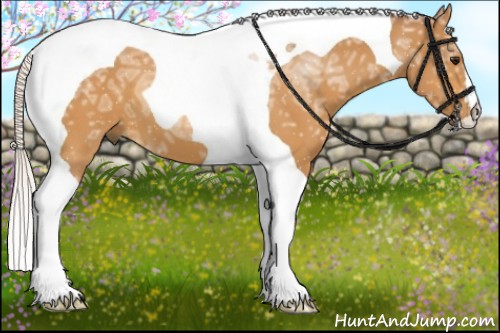Horse Color:Chocolate Silver Buckskin Ice Tobiano 
