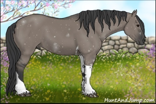 Horse Color:Grullo Tobiano