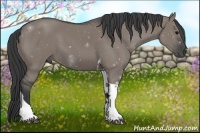 Horse Color:Grullo Tobiano