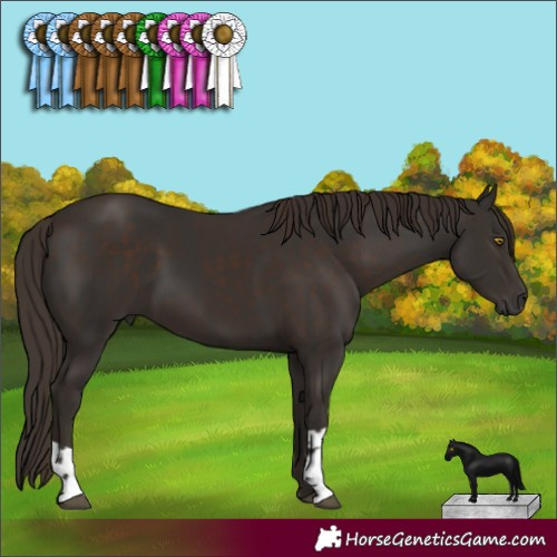 Horse Color:Liver Chestnut  and Liver Chestnut 
