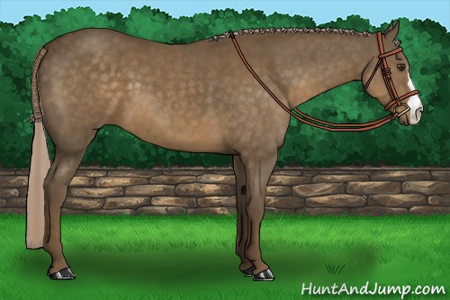 Horse Color:Chocolate Palomino
