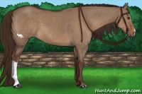 Horse Color:Liver Red Dun 