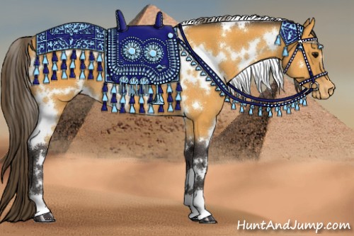 Horse Color:White Spotted Buckskin Appaloosa 