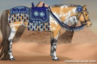 Horse Color:White Spotted Buckskin Appaloosa 