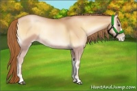 Horse Color:Red Onyx Pearl 