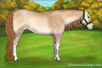 Horse Color:Red Onyx Pearl 