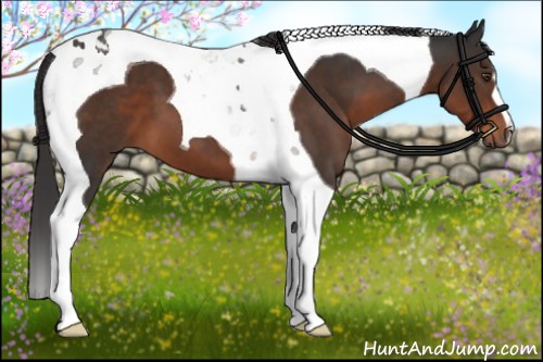 Horse Color:Liver Chestnut Tobiano 