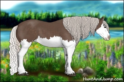 Horse Color:Silver Black Splash