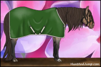 Horse Color:Bay Roan Dun Blanket 