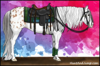 Horse Color:Bay Roan Splash Appaloosa