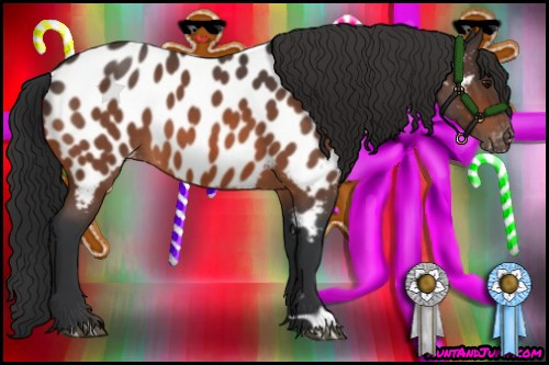 Horse Color:Bay Roan Appaloosa 