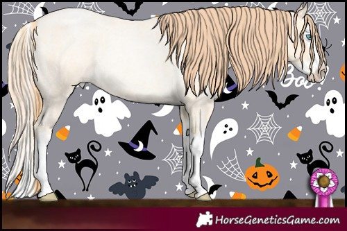 Horse Color:Sable Cream Champagne Roan Pearl Splash 